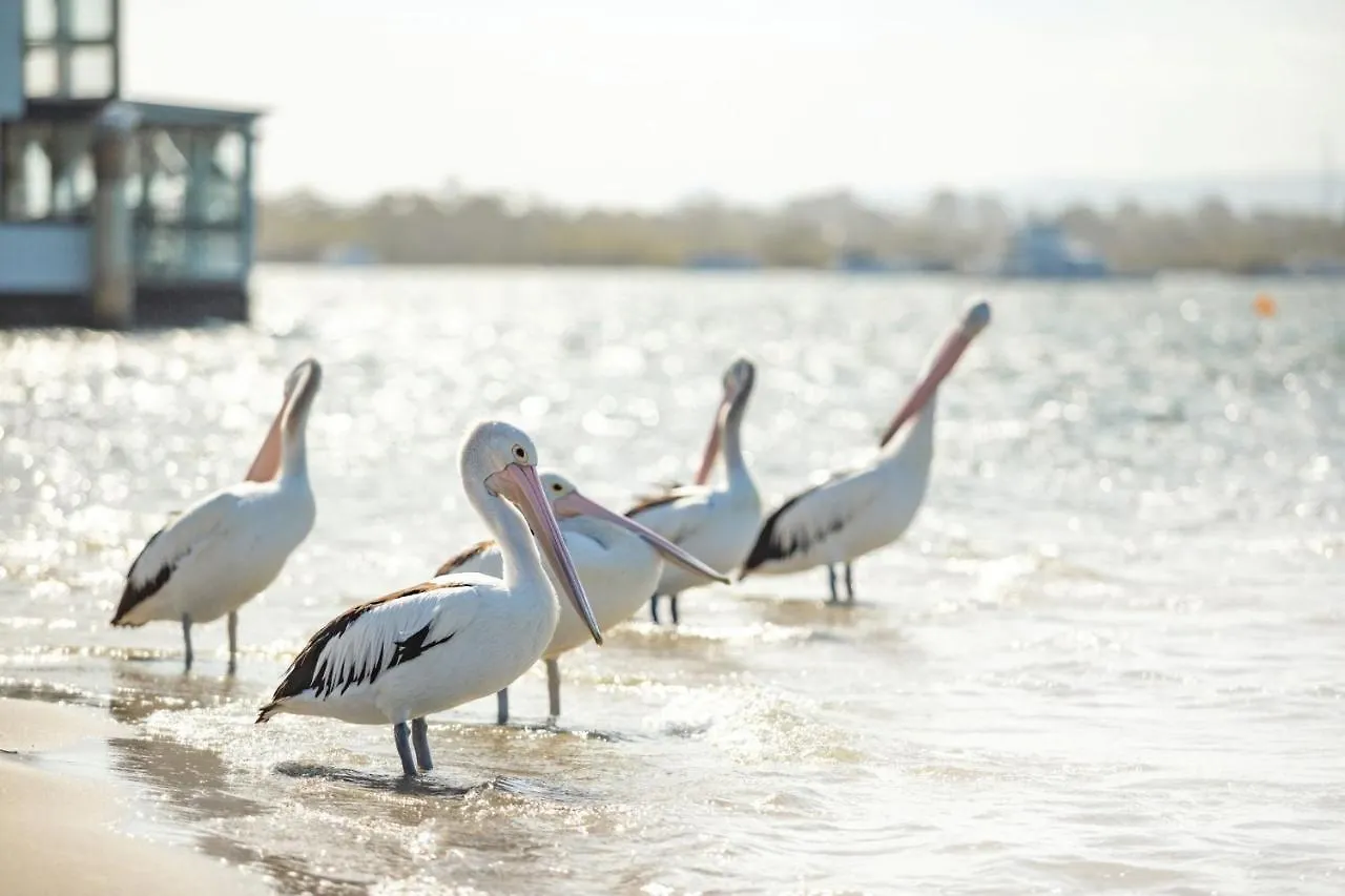 Noosa River Gardens 1 Hilton Terrace 76 テウェンティン オーストラリア